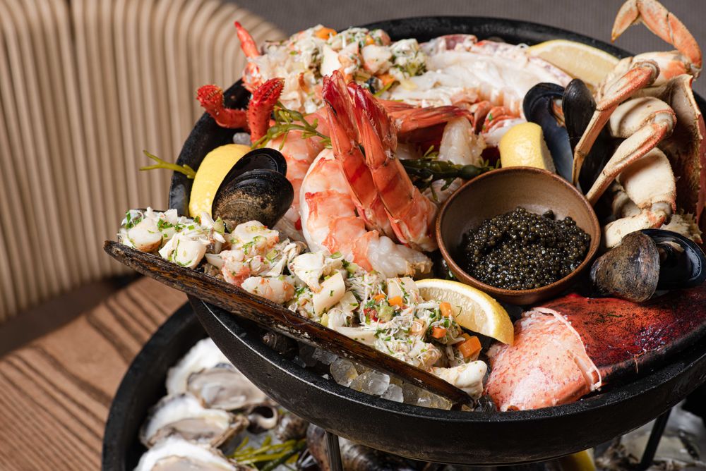 Meduza Mediterrania - New York Meduza Mediterrania - New York