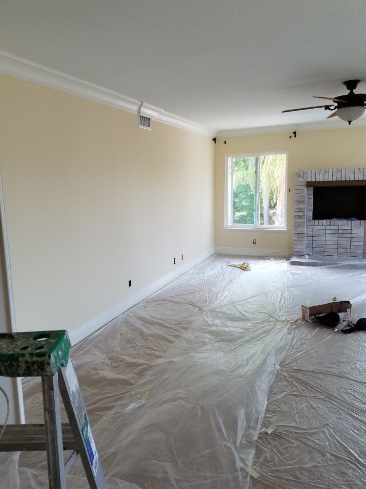 Painting pro's