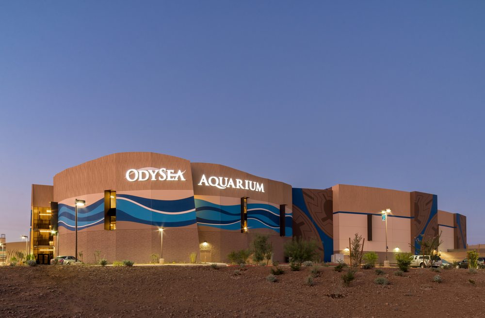 OdySea Aquarium 254 Photos & 183 Reviews Aquariums 9500 E Via De