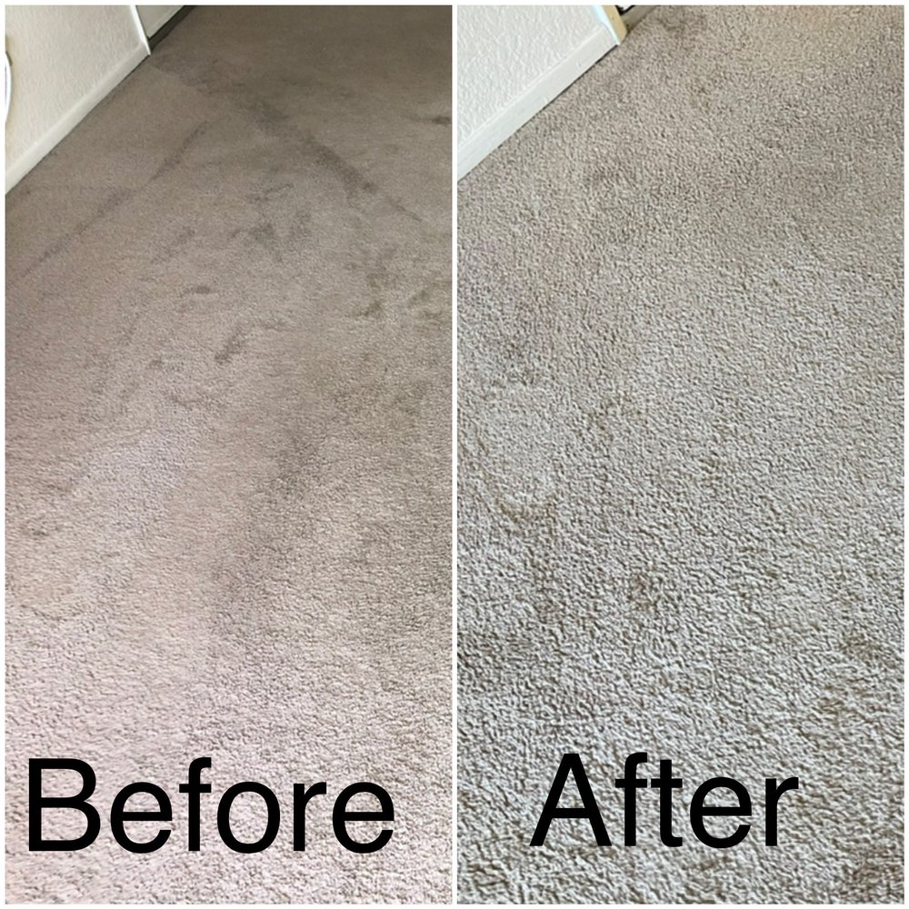 All In Carpet Cleaning