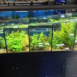 age of aquariums 80 photos 133 reviews aquarium services