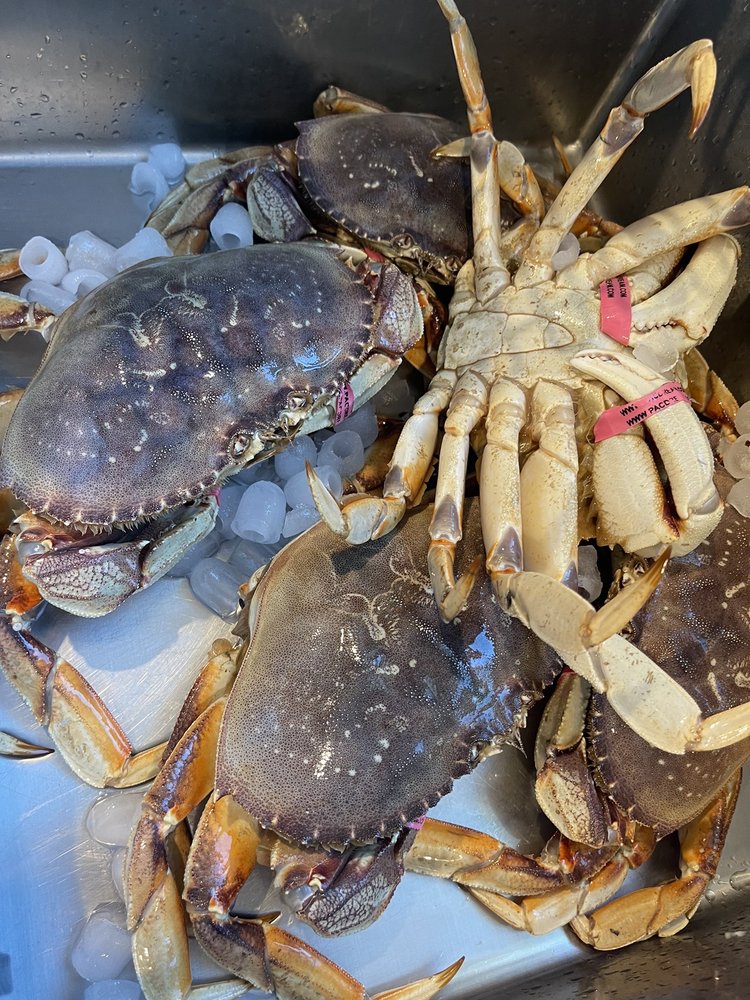 USA Daily Live Seafood Market