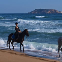 Horseback Riding On The Beach San Go Closed Photo Of Horseback Riding On The Beach San Go Ca United