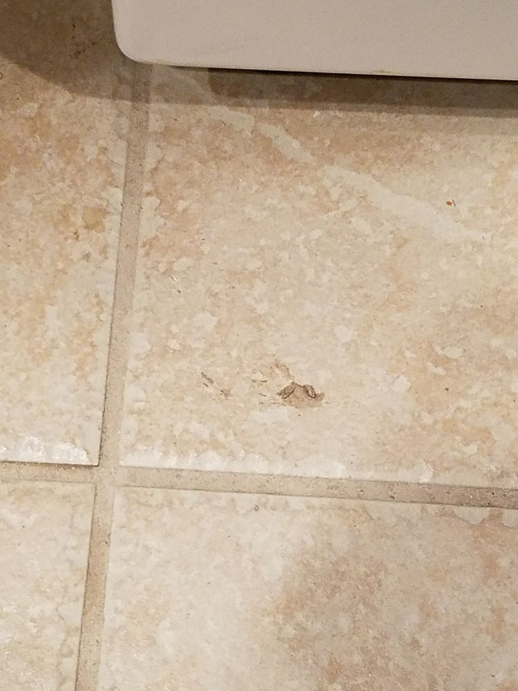 Cyndi S Floors N More Request A E Flooring 2153 Gordon Dr Cyndi S Floors N More Request A E Flooring 2153 Gordon Dr Kingman Az Phone Number Yelp