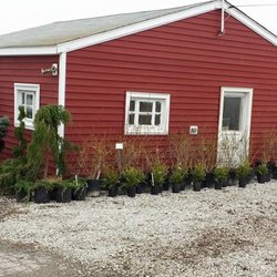 Springlake Nursery 14 Photos Nurseries Gardening 3023 Photo Of Springlake Nursery Perry Oh United States