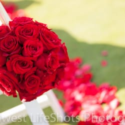 Sargent S Fl Gift Florists 1811 2nd St Sw Rochester Mn Photo Of Sargent S Fl Gift Rochester Mn United States
