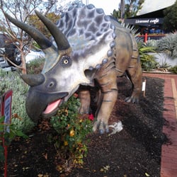 Gardenworld Nursery 2019 All You Need To Know Before Gardenworld Nursery 2019 All You Need To Know Before
