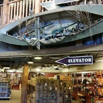 Photo of Bass Pro Shops Outdoor World - Auburn Hills, MI, United States. Outdoor Play Auburn Hills Outdoor Play Auburn Hills Photo of Bass Pro Shops Outdoor World - Auburn Hills, MI, United States.