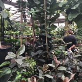 San Gabriel Nursery Florist 380 Photos 203 Reviews Nurseries Photo Of San Gabriel Nursery Florist Ca United States