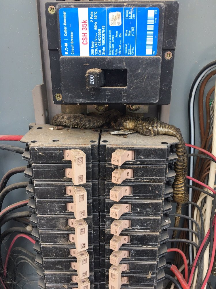 Double D Electric