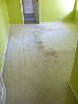 Ronnie S Carpets 12348 Us Highway 98 N Lakeland Fl Carpet Rug Ronnie S Carpets 12348 Us Highway 98 N Lakeland Fl Carpet Rug Dealers Oriental Mapquest