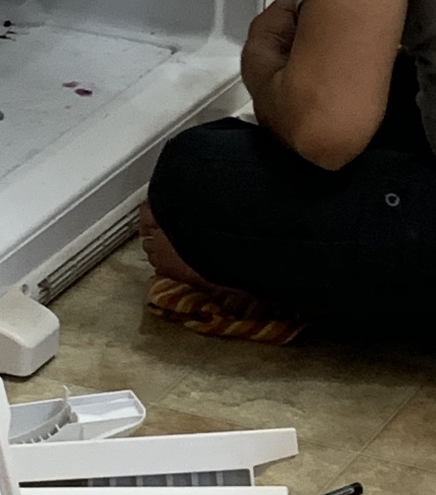Appliance Repair Expert