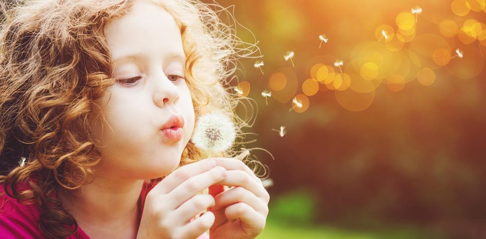 image of business Richard Herrscher, MD