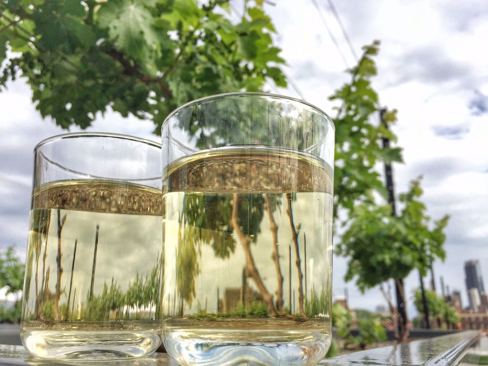 Rooftop Reds 116 Photos & 35 Reviews Wineries 63 Flushing Ave