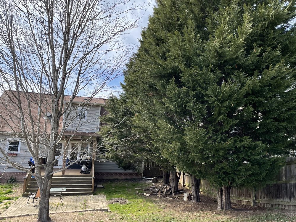 Picky Pike's Outdoor Solutions