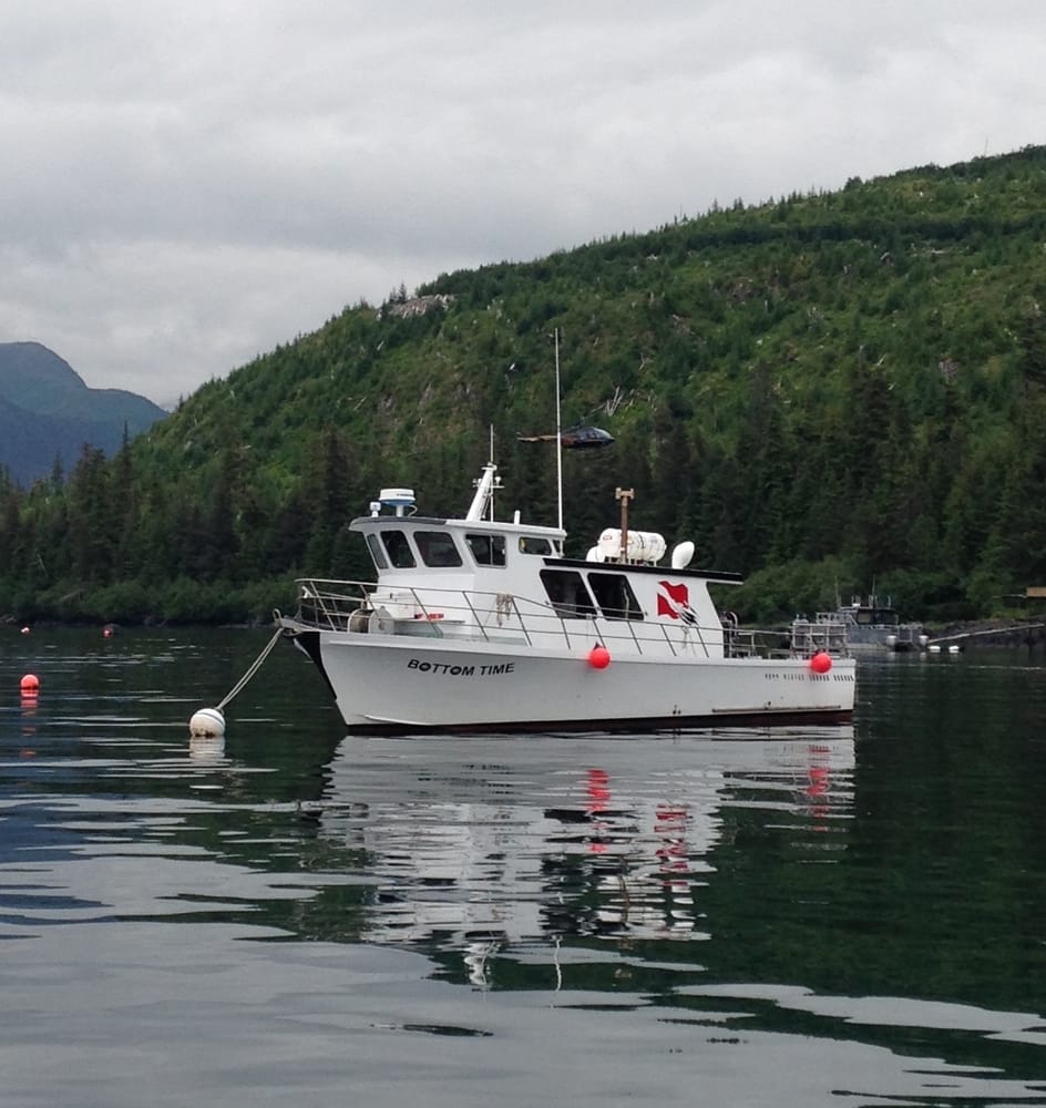 Dive Alaska 18 Photos Scuba Diving 7100 Old Seward Hwy, Anchorage