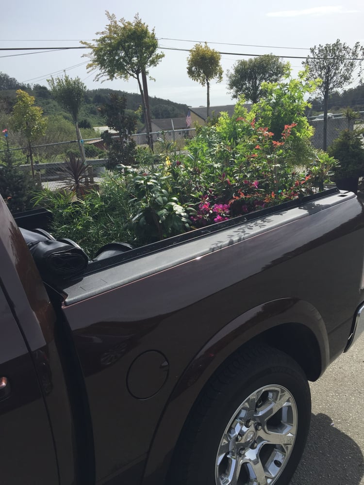 Bongard’s Treescape Nursery 18 Reviews Nurseries & Gardening