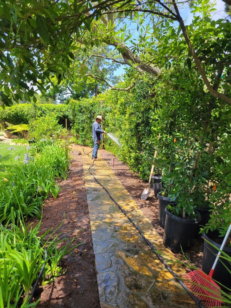 Montes Landscaping