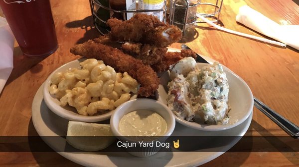 cajun yard dog cajun yard dog