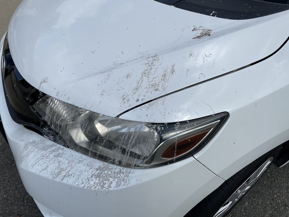 San Diego Car Care - Rancho Bernardo