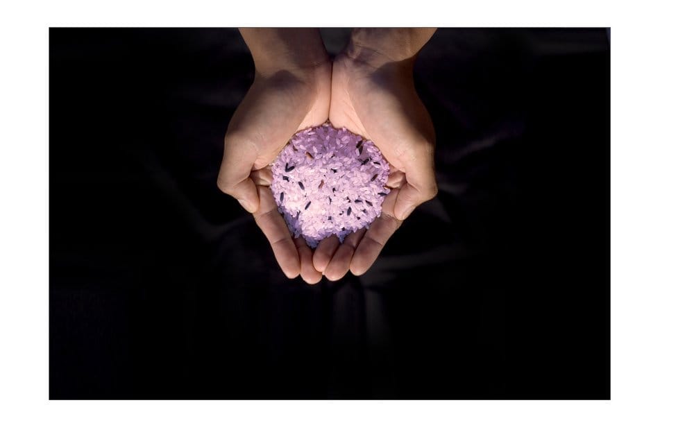 purplericesushi