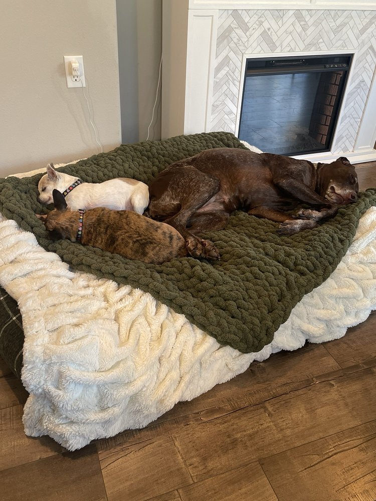 Paws N Claws Pet Sitting In Your Home
