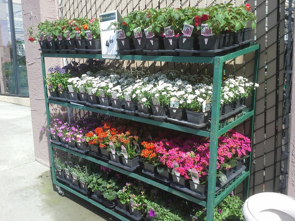 Orchard Supply Hardware Garden Center South San Francisco Ca Yelp Photo Of Orchard Supply Hardware South San Francisco Ca United States