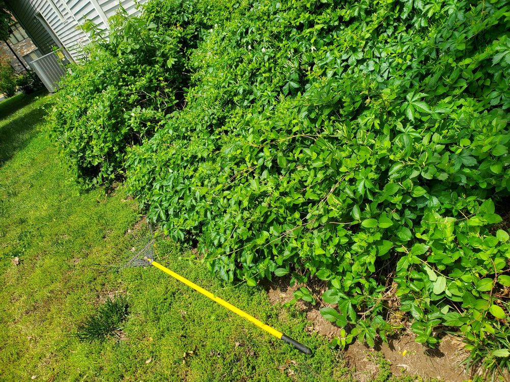 image of business Dan and I Construction