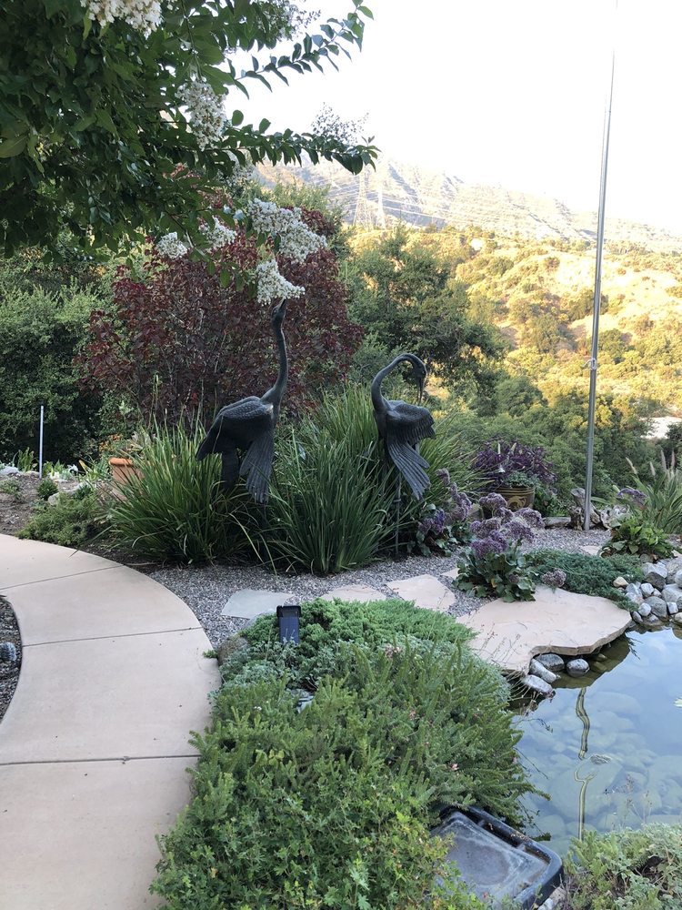 Mary Cardea Landscaping