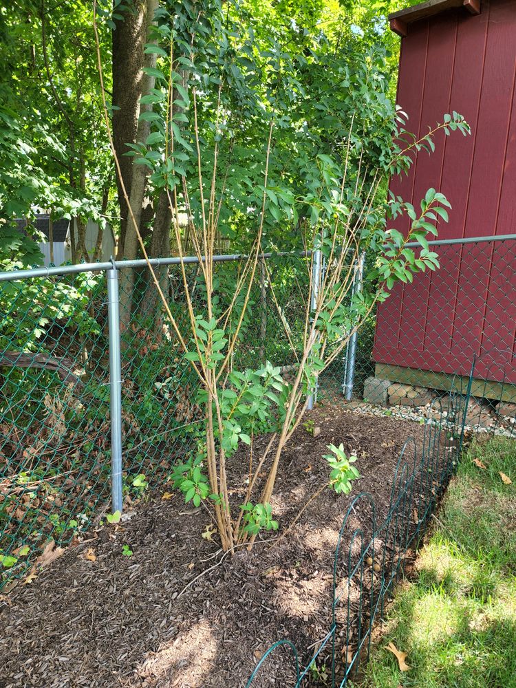 Plymouth Nursery & Landscape