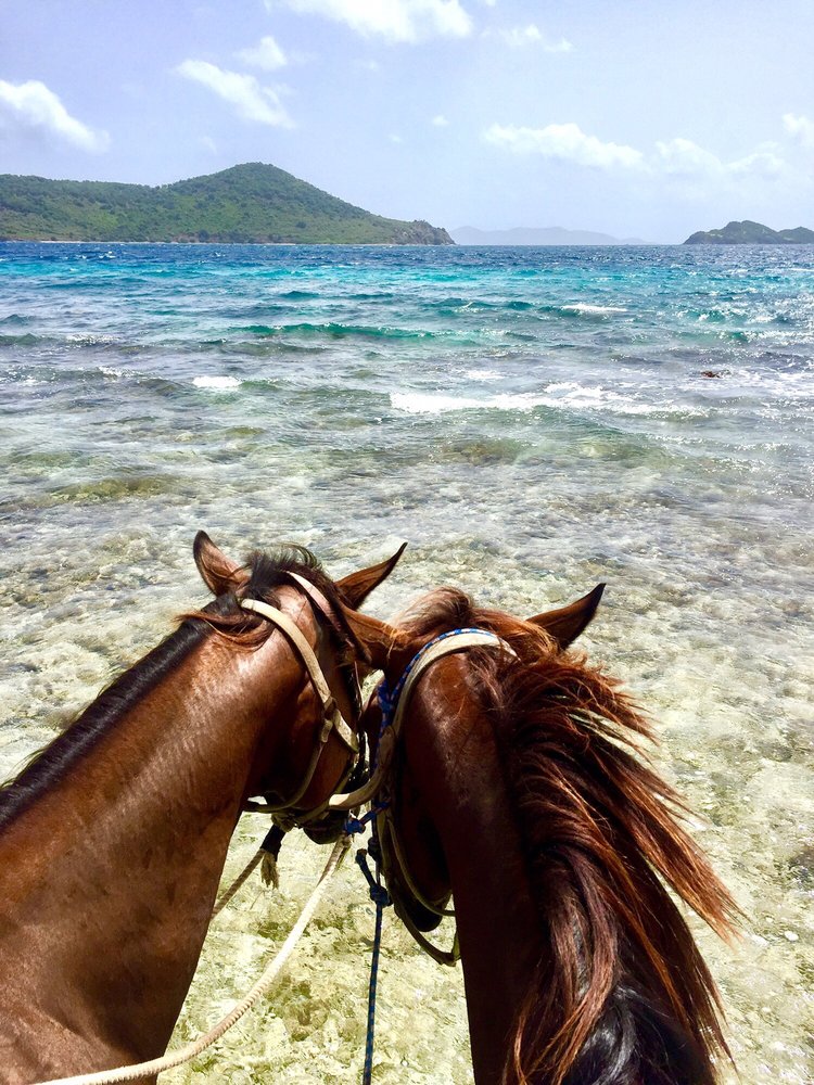 Golden Age Ranch Horseback Riding St Thomas, VI Phone Number Yelp