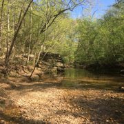 alum spring park 24