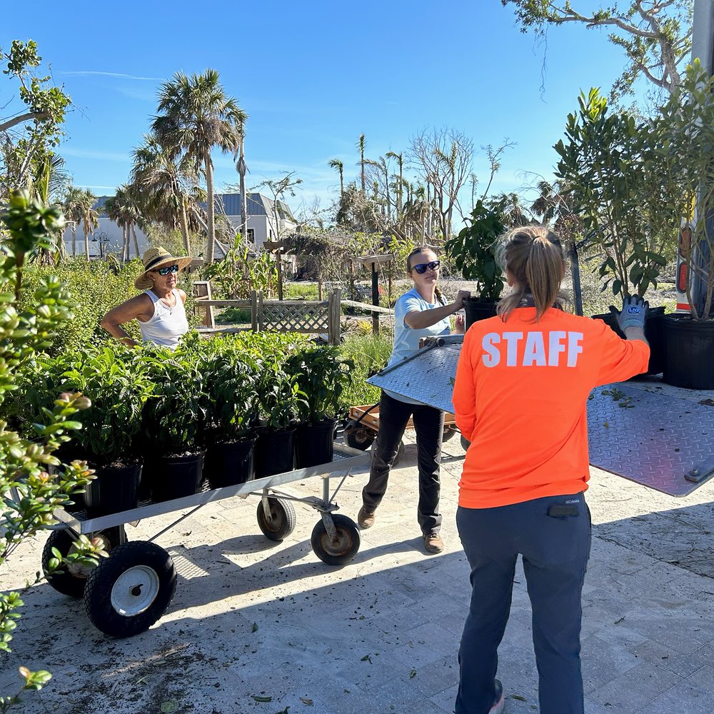 SCCF Native Landscapes & Garden Center