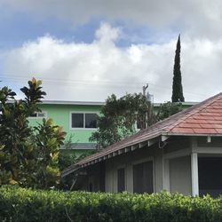 Ohana Tree Services 43 Photos 32 Reviews Tree Services 3852b