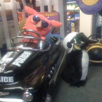 The Toy Store - 28 Photos & 26 Reviews - Toy Stores - 936 Massachusetts