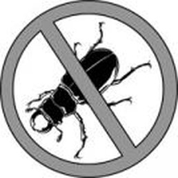Photos For Advanced Termite Pest Control Llc Yelp Photo Of Advanced Termite Pest Control Llc Crossville Tn United States