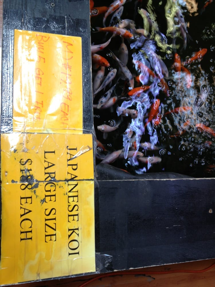 International Aquarium 13 Photos & 48 Reviews Aquarium Services