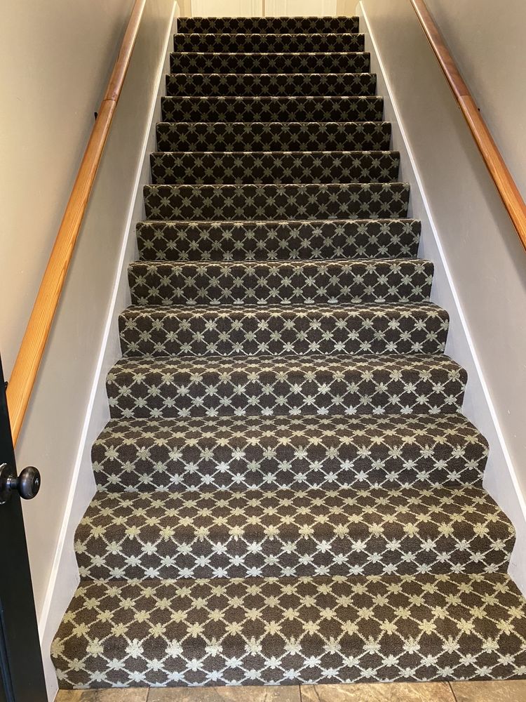 Omega Carpet Cleaning