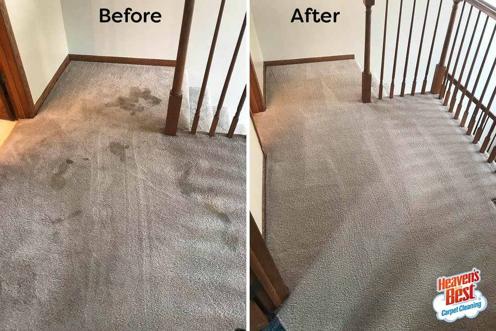 Heaven's Best Carpet Cleaning Wilmington