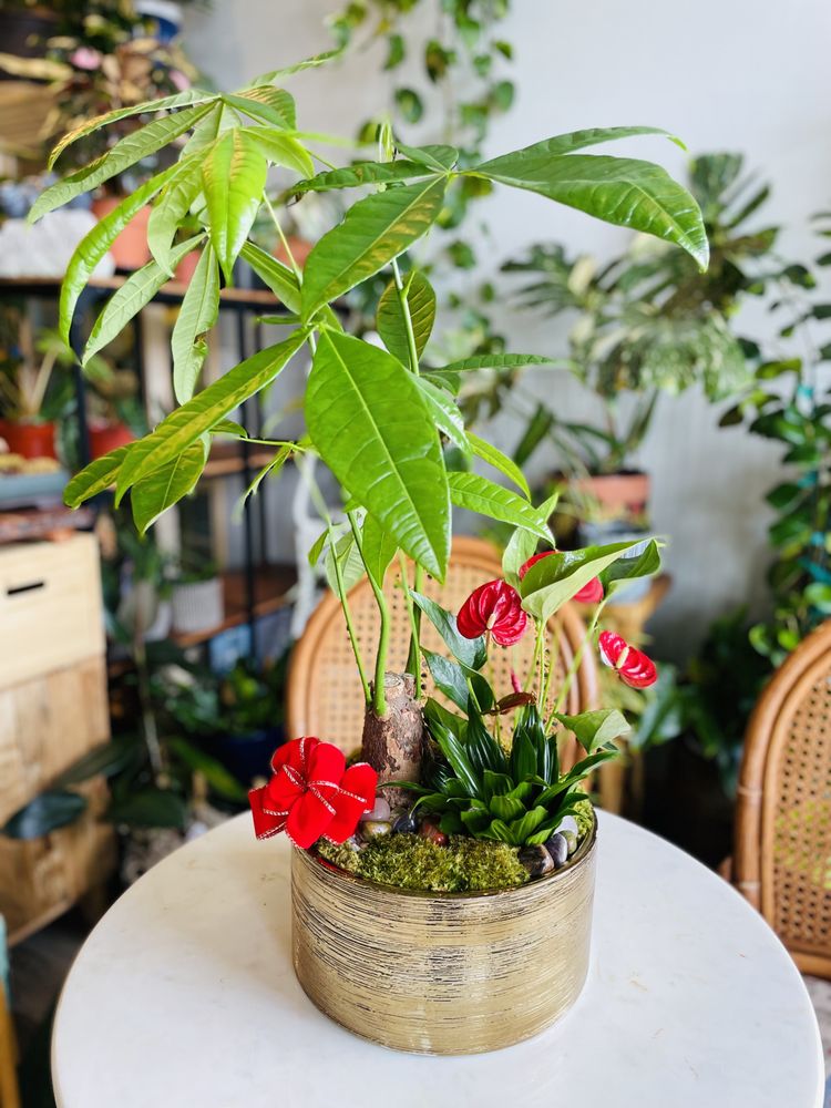 Stem n' Leaf