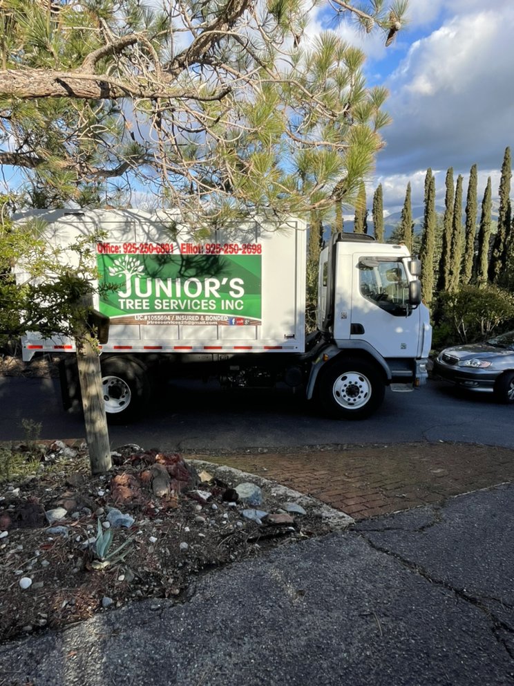 Juniors Tree Service Inc