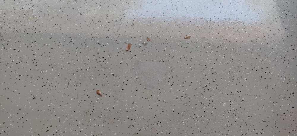 PSI Painting