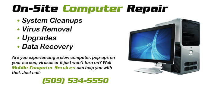 Mobile Computer Services