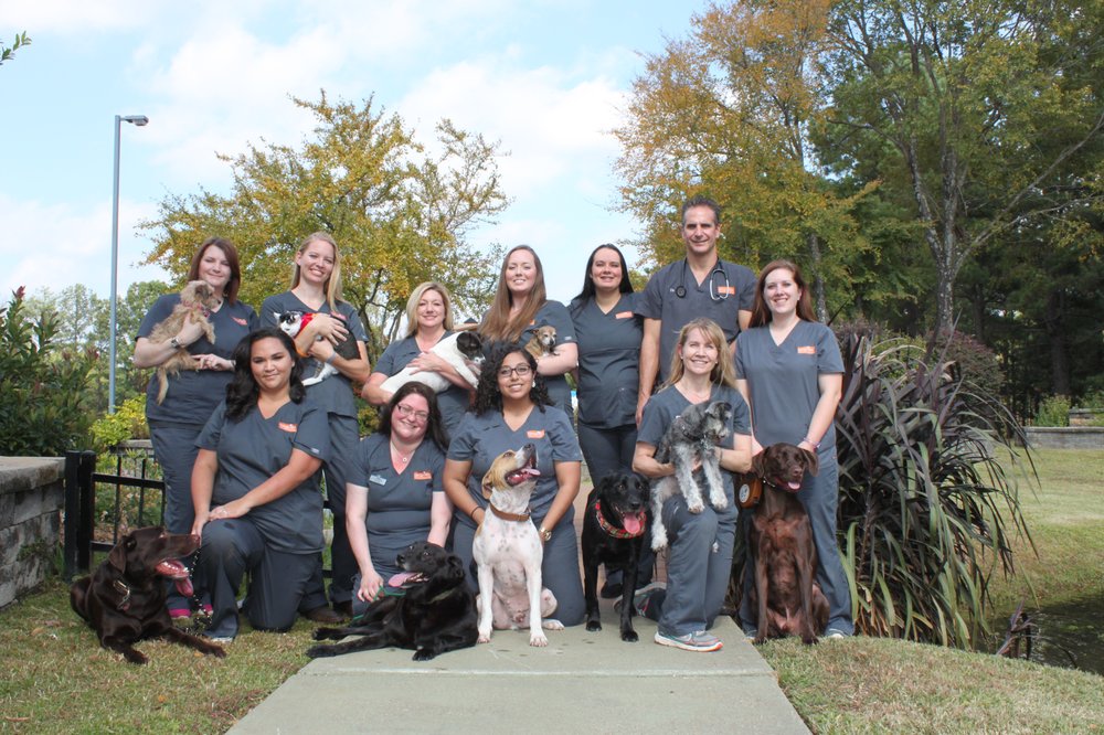 Longview Animal Hospital Get Quote 31 Photos Veterinarians 2500