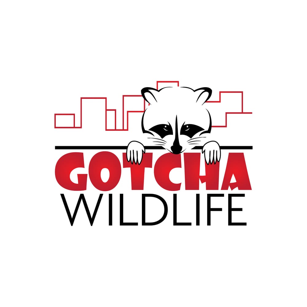Gotcha Wildlife Removal