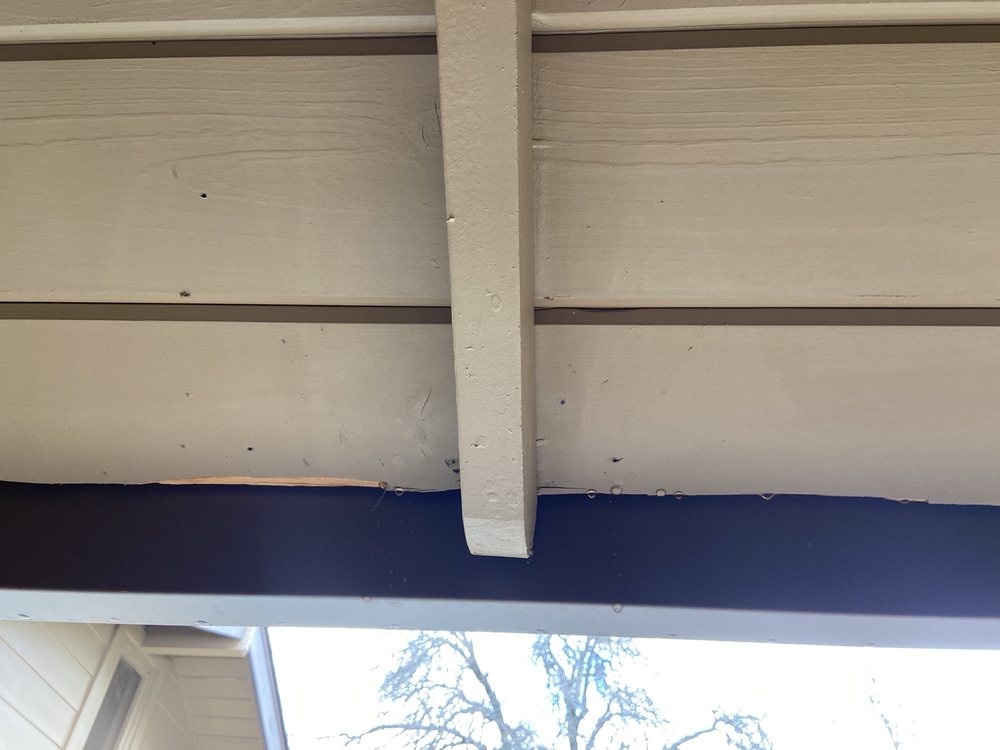 image of business Allstar Construction and Pest Management