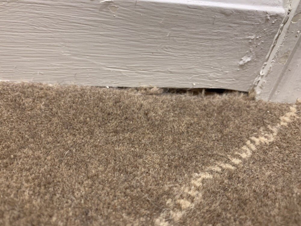 Avalon Flooring 48 Photos 18 Reviews Shades Blinds 644