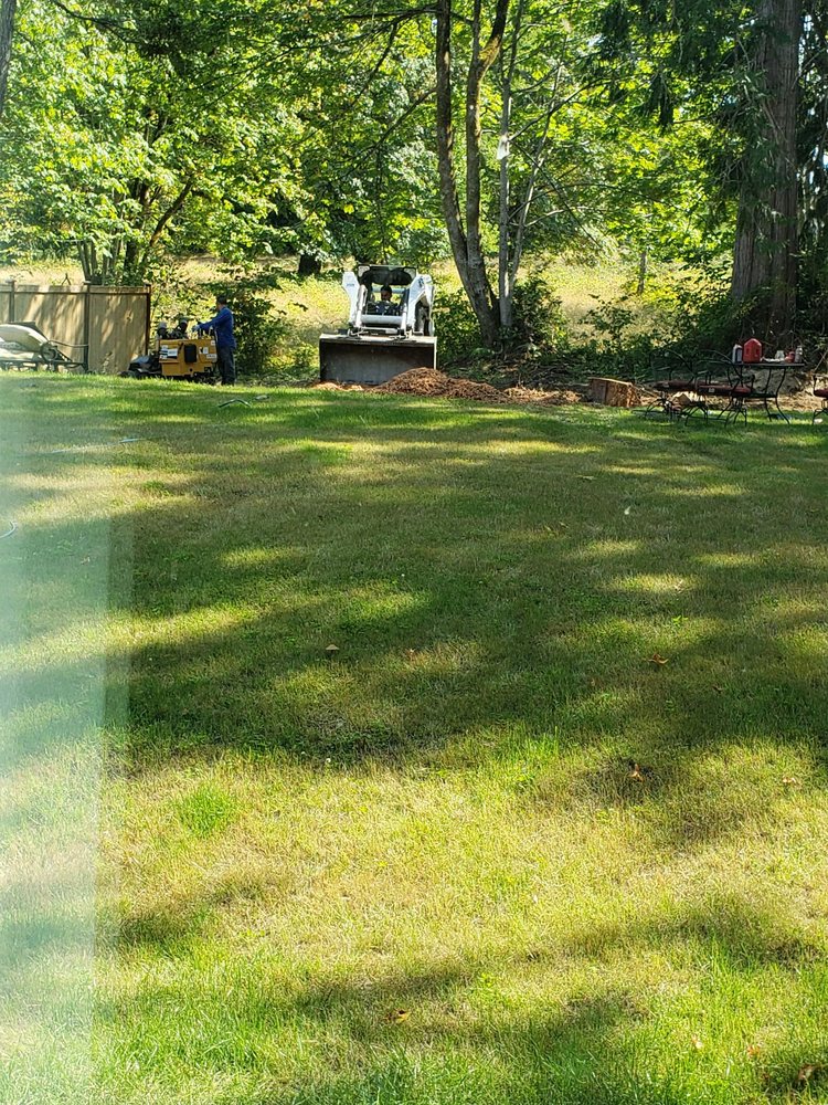 Photos For Diamond Touch Landscape Services Yelp Photo Of Diamond Touch Landscape Services Shelton Wa United States