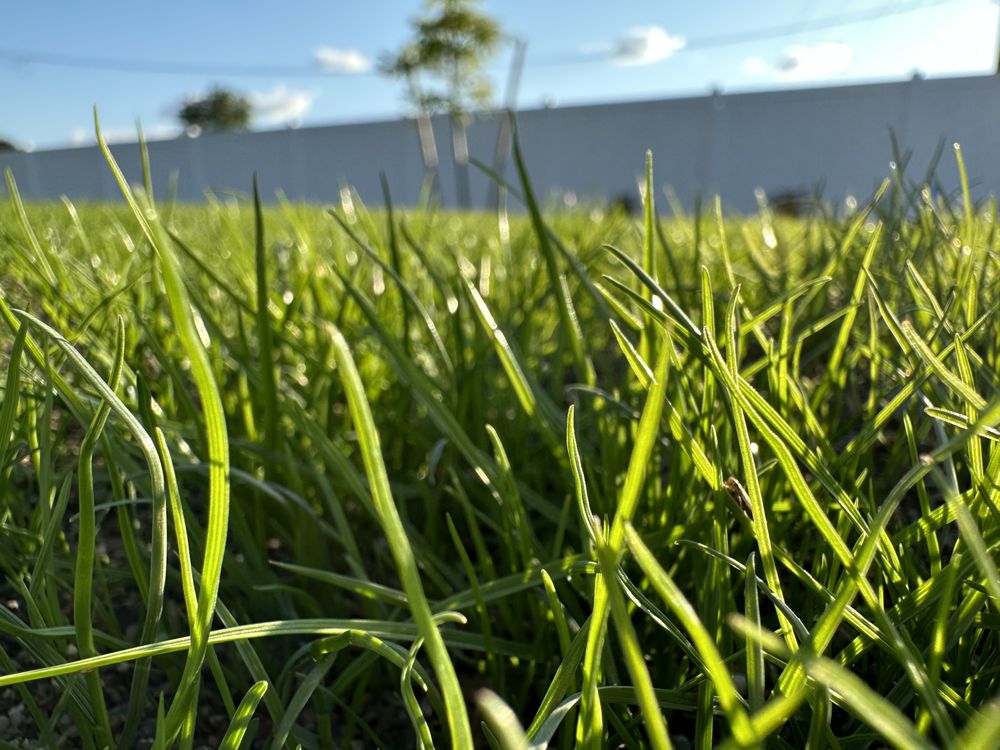 Add A Lawn Quality Hydroseeding