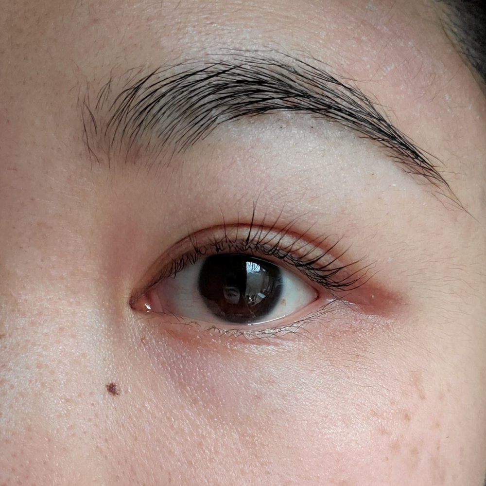 Muse + Maven Lash + Beauty Studio